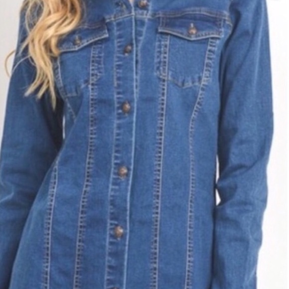 BLUE DENIM PRINCESS LINE BUTTON UP DRESS - Picture 3 of 7